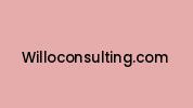 Willoconsulting.com Coupon Codes