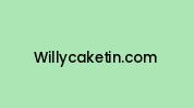 Willycaketin.com Coupon Codes