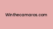 Winthecamaros.com Coupon Codes