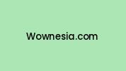 Wownesia.com Coupon Codes